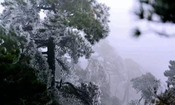 数学难题选关版